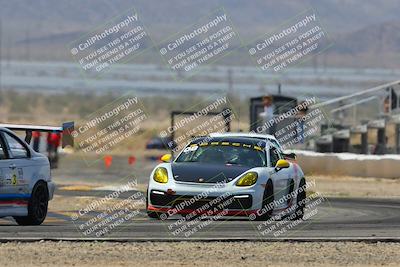 media/Mar-30-2025-Pro Autosports (Sun) [[34ff8f16e0]]/2-Blue-White Group/Main Race/